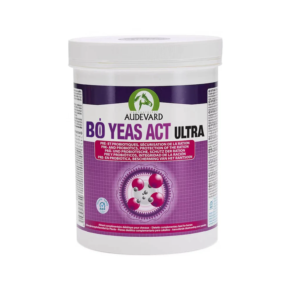 Audevard Bo Yeas Act Ultra