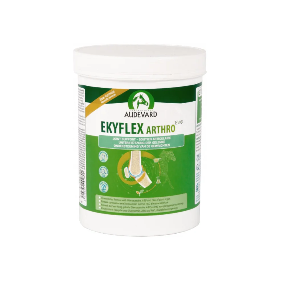 Audevard Ekyflex Arthro EVO