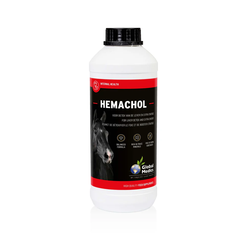 Global Medics Hemachol 1L