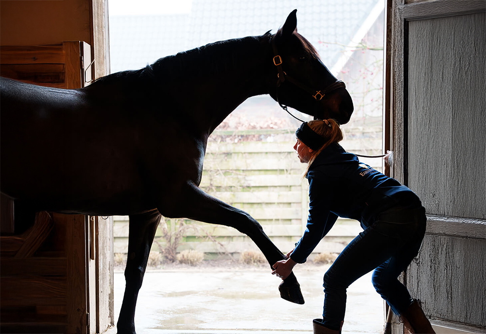 Preventie en prestatie
